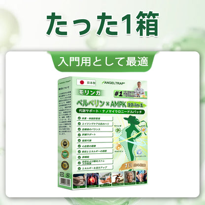 公式旗艦店 /ANGELTRAP®＆NAD+ 10-in-1 ナノ強化フォーミュラ — 肥満、肌のたるみ、糖尿病、睡眠時無呼吸症候群、関節の悩み、その他健康上の懸念にアプローチ🛡️